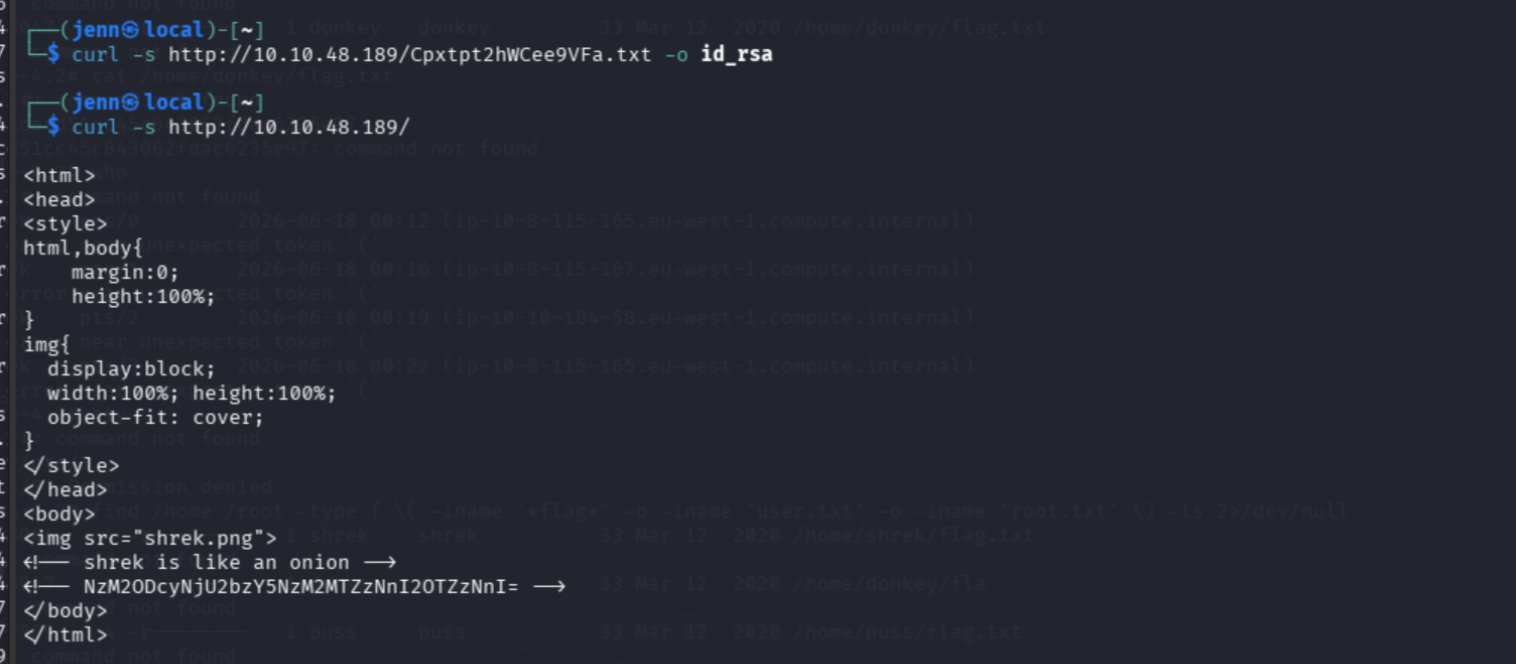 Homepage fullscreen Shrek image with two HTML comments in the source